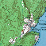 Western Michigan University ME-Louds Island: Authoritative US Topos 1955 digital map
