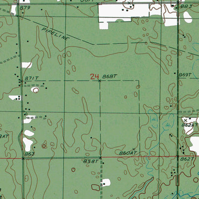 Western Michigan University MI-Baldwin: Authoritative US Topos 1987 digital map