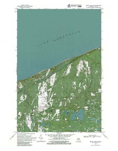 Western Michigan University MI-Betsy Lake NW: Authoritative US Topos 1968 digital map
