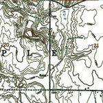 Western Michigan University MI-Big Bradford Lake: Authoritative US Topos 1951 digital map