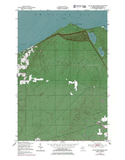 Western Michigan University MI-Dollar Settlement: Authoritative US Topos 1951 digital map