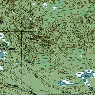 Western Michigan University MI-Driggs Lake: Authoritative US Topos 1972 digital map