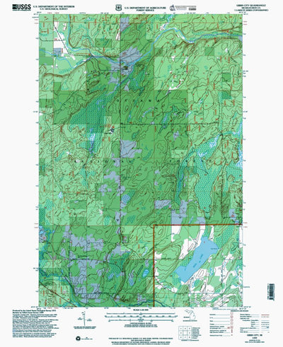 Western Michigan University MI-Gibbs City: Authoritative US Topos 1999 digital map