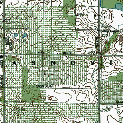 Western Michigan University MI-Grant: Authoritative US Topos 1985 digital map