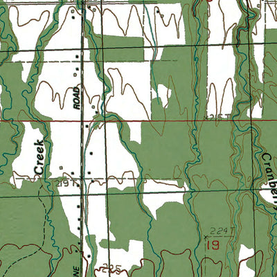 Western Michigan University MI-Green: Authoritative US Topos 1982 digital map