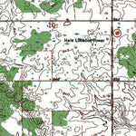 Western Michigan University MI-Hale SE: Authoritative US Topos 1968 digital map