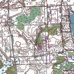 Western Michigan University MI-Hamburg: Authoritative US Topos 1996 digital map