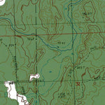 Western Michigan University MI-Hillman NE: Authoritative US Topos 1986 digital map