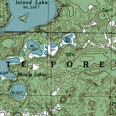 Western Michigan University MI-Jackson Landing: Authoritative US Topos 1985 digital map
