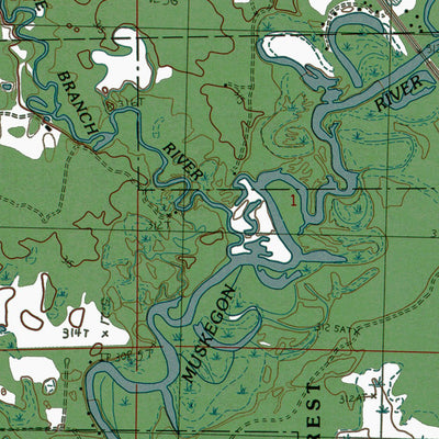 Western Michigan University MI-Lake NE: Authoritative US Topos 1984 digital map