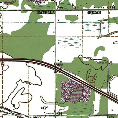 Western Michigan University MI-Loomis: Authoritative US Topos 1969 digital map