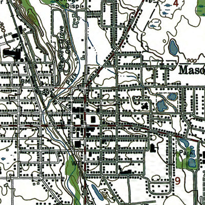 Western Michigan University MI-Mason: Authoritative US Topos 1970 digital map