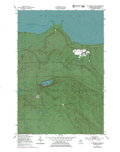 Western Michigan University MI-McNearney Lake: Authoritative US Topos 1951 digital map