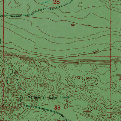 Western Michigan University MI-McNearney Lake: Authoritative US Topos 1951 digital map