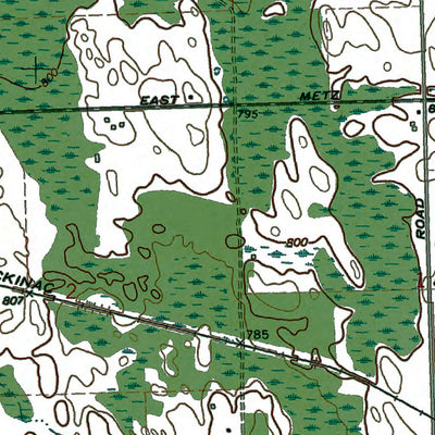 Western Michigan University MI-Metz: Authoritative US Topos 1971 digital map