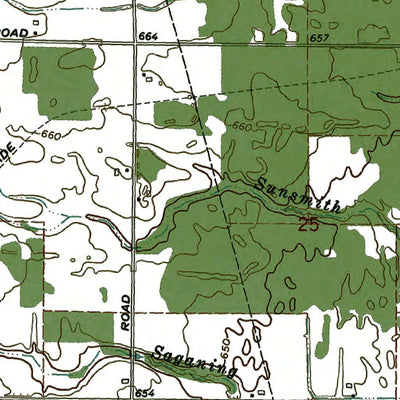 Western Michigan University MI-Mount Forest: Authoritative US Topos 1967 digital map
