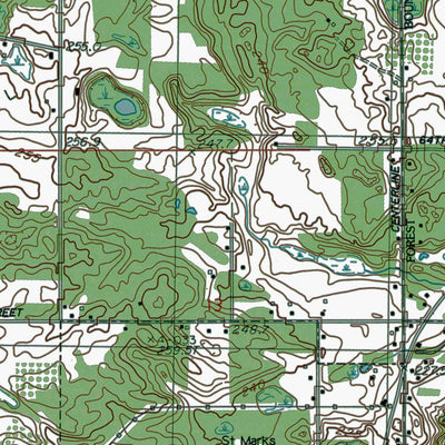 Western Michigan University MI-Newaygo: Authoritative US Topos 1985 digital map