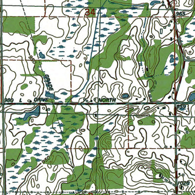 Western Michigan University MI-Northwest Albion: Authoritative US Topos 1980 digital map