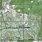 Western Michigan University MI-Onekama: Authoritative US Topos 1982 digital map