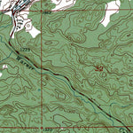 Western Michigan University MI-Palmer: Authoritative US Topos 1952 digital map