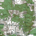 Western Michigan University MI-Pleasanton: Authoritative US Topos 1982 digital map