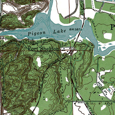 Western Michigan University MI-Port Sheldon: Authoritative US Topos 1972 digital map
