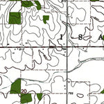 Western Michigan University MI-Rosebush: Authoritative US Topos 1973 digital map