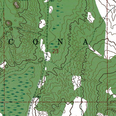 Western Michigan University MI-Spruce: Authoritative US Topos 1971 digital map