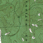 Western Michigan University MI-Spruce: Authoritative US Topos 1971 digital map