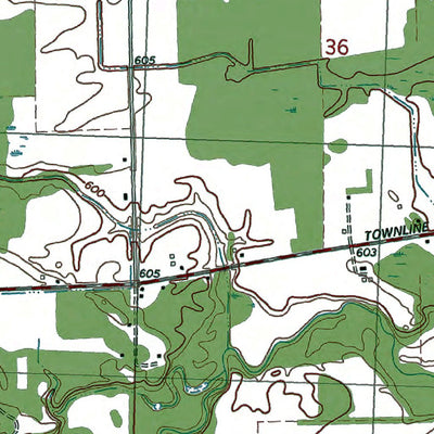 Western Michigan University MI-St Charles: Authoritative US Topos 1975 digital map