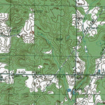 Western Michigan University MI-Stanwood: Authoritative US Topos 1985 digital map