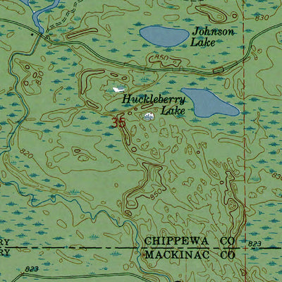 Western Michigan University MI-Trout Lake: Authoritative US Topos 1964 digital map