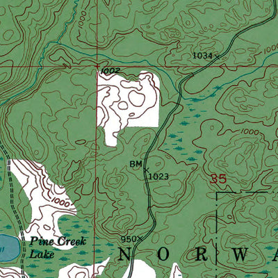 Western Michigan University MI-Vulcan: Authoritative US Topos 1955 digital map