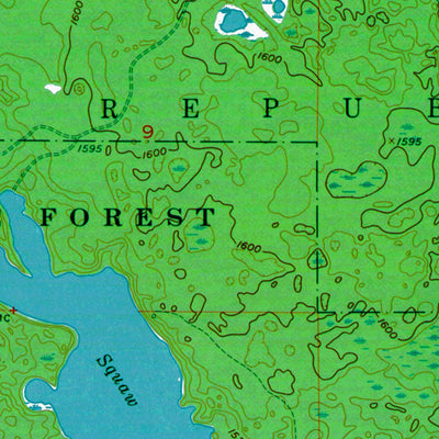 Western Michigan University MI-Witch Lake: Authoritative US Topos 1975 digital map