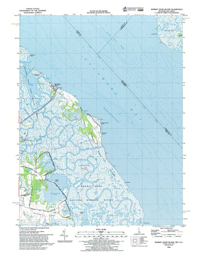 Western Michigan University NJ-DE-Bombay Hook Island: Authoritative US Topos 1993 digital map