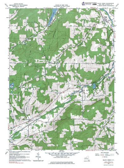 Western Michigan University NY-Black Creek: Authoritative US Topos 1964 digital map