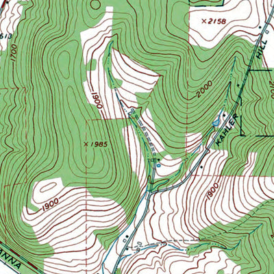 Western Michigan University NY-Cattaraugus: Authoritative US Topos 1963 digital map
