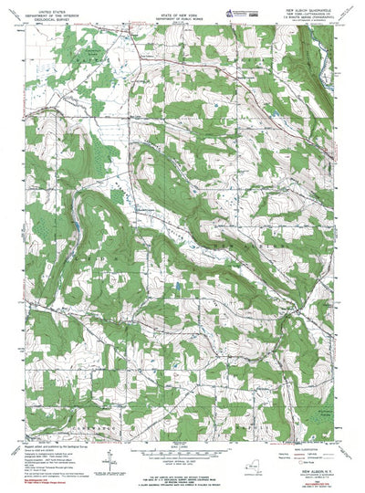 Western Michigan University NY-New Albion: Authoritative US Topos 1963 digital map