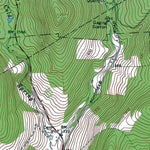 Western Michigan University NY-North Sanford: Authoritative US Topos 1965 digital map