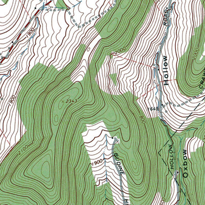 Western Michigan University NY-Walton East: Authoritative US Topos 1965 digital map