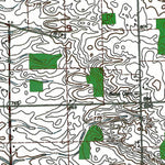 Western Michigan University OH-MI-Morenci: Authoritative US Topos 1971 digital map