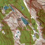 Western Michigan University WA-Big Snow Mtn: Authoritative US Topos 1965 digital map