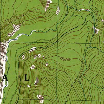 Western Michigan University WA-Bumping Lake: Authoritative US Topos 1988 digital map