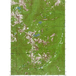 Western Michigan University WA-Cougar Lake: Authoritative US Topos 1988 digital map