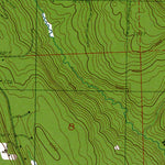 Western Michigan University WA-Lake Roesiger: Authoritative US Topos 1989 digital map