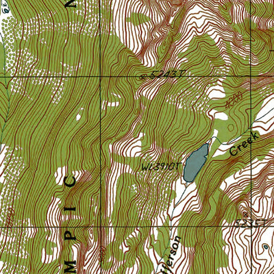 Western Michigan University WA-Mount Skokomish: Authoritative US Topos 1990 digital map