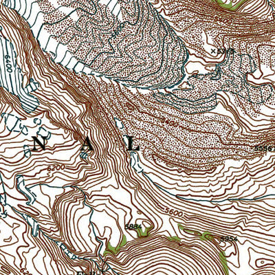 Western Michigan University WA-Mt Rainier East: Authoritative US Topos 1971 digital map
