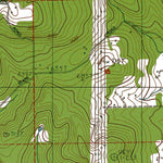 Western Michigan University WA-Napavine: Authoritative US Topos 1985 digital map
