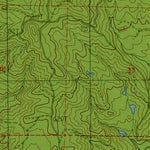Western Michigan University WA-OR-Grays River: Authoritative US Topos 1985 digital map