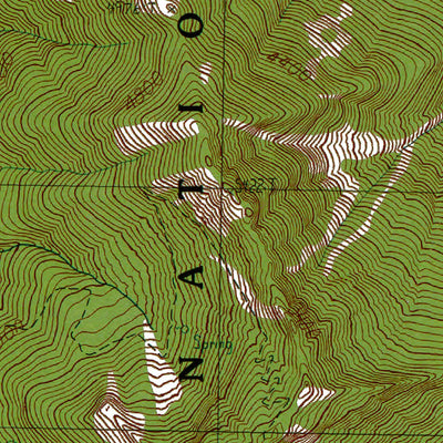 Western Michigan University WA-Packwood: Authoritative US Topos 1989 digital map